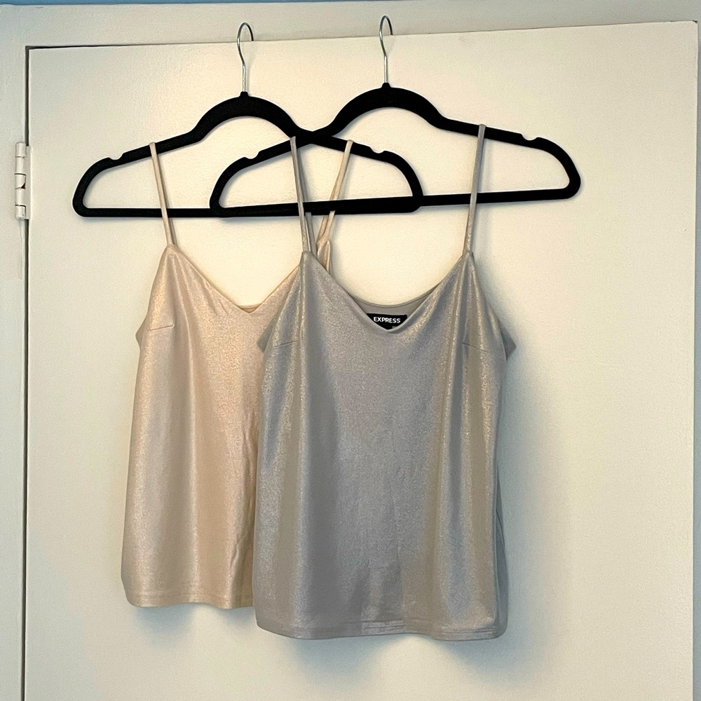 Two Shimmery Tops (Champagne and Silver)